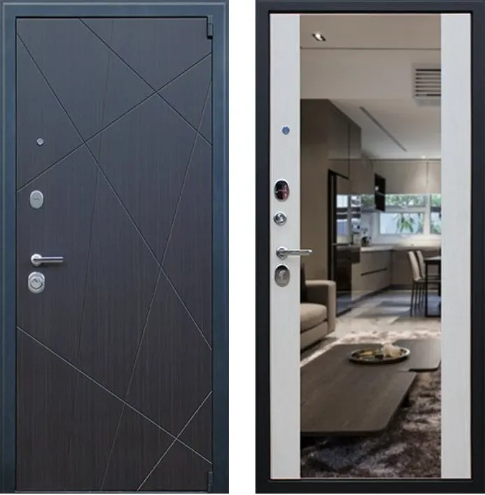 Фото Дверь Вектор с зеркалом DIS002726